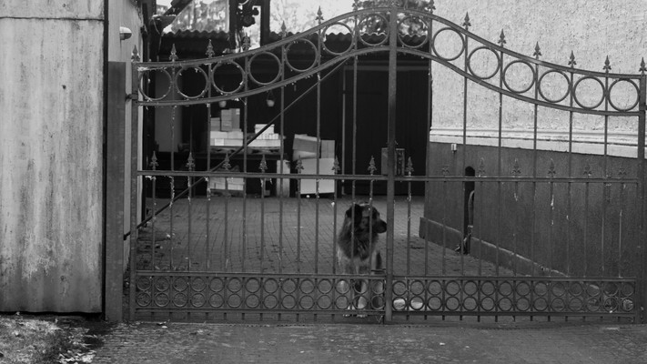 Baby & Pet Gates