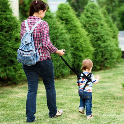 Safety Harnesses & Leashes