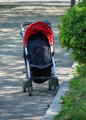 Full-Sized Strollers